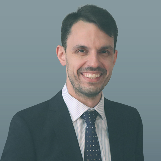 Kostas Marinis -  IT Consultant <br> SW Tech. Support Representative