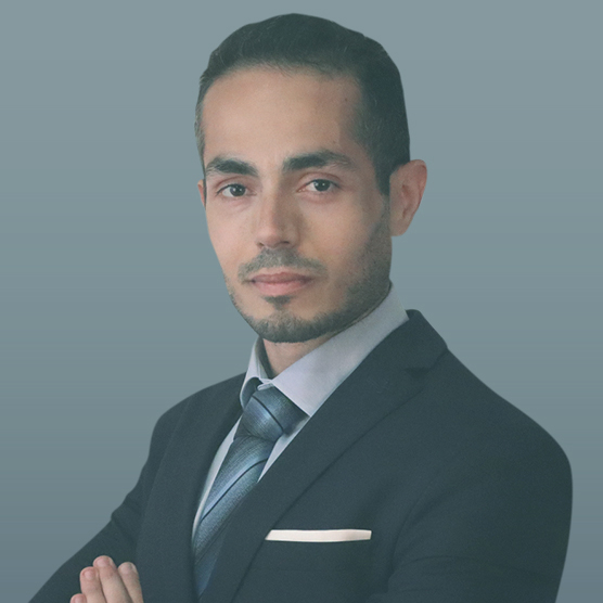 Manos Tavlakis - Senior Data Mining Consultant