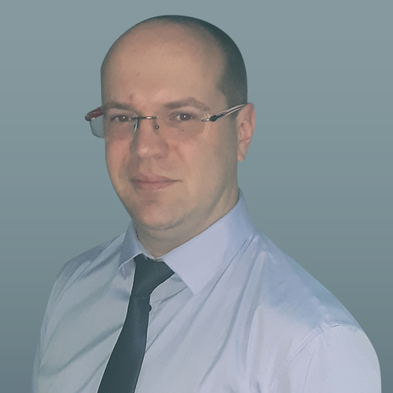 Nikola Genov - Data Mining Consultant