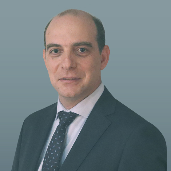 Spiros Kerkiras - Senior Data Mining Consultant 