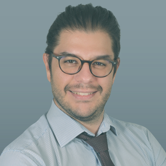 Chrysovalantis Kroustalis - Data Mining Consultant