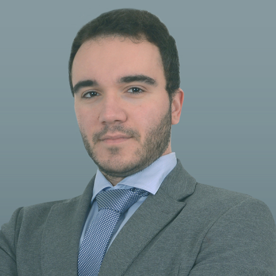 George Ploumistos - Data Mining Consultant